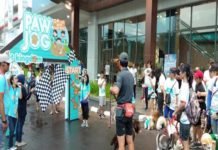 Rayakan HUT Ke-2, Pet Kingdom Gelar PAW JOG di Harapan Indah