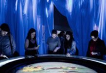 Petualangan Alice di Negeri Ajaib Wonderland