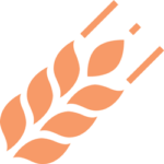 accordion_icon