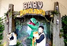 Hewan Purba, Baby Dinosaurus Hadir di Dufan Ancol