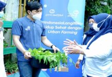 Mulai Hidup Sehat melalui Aktivitas Urban Farming #IndonesiaLangitBiru