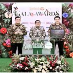 Auto2000 Car Dealer1