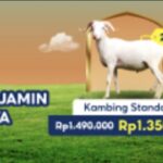 Screenshot_20220630-174420_1