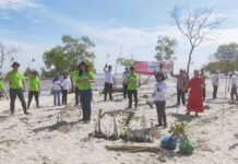 Auto2000 Dukung SDGs dengan Lakukan Penanaman 2000 Bibit Pohon Mangrove
