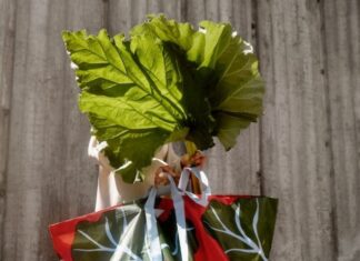 IKEA Berkolaborasi dengan Marimekko Hadirkan Warna-Warna Berani