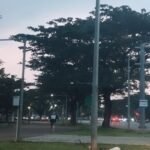 Alam Sutera_Jogging Track2